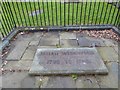 Stoke Minster: churchyard (24)