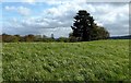 NS2602 : Site of a Prehistoric Cairn by Mary and Angus Hogg