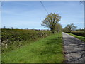 Lane to Swillbrook Farm