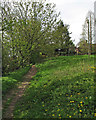 Edwalton: footpath near Hill Farm