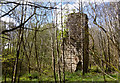 Lochmodie Castle Ruin