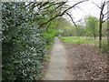 Footpath from Bedquilts Recreation Ground to Long Causeway