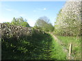 Footpath at Water Meadows Allotments