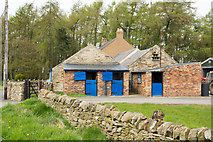 NY9656 : Stables at Blue Gables with cat on wall by Trevor Littlewood