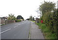 Main Road (A149), Rollesby