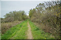 Bridleway to Thorndon Cross