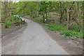 Old gate, Chatley Heath