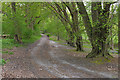 Path to Old Lane