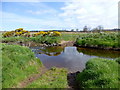 River crossing, Tonegan