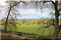 View from the Woodland Path at Beeston Castle