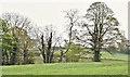 Fields and trees, Soldierstown - May 2016(1)