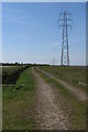 Pylons by a farm track