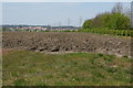 Field by the A505 with Leighton Buzzard in the distance