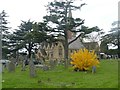 Cheltenham Cemetery & Crematorium