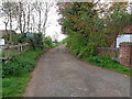 Bridle path to Shrawley Woods from The Burf