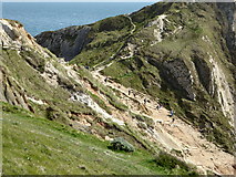 SY8080 : Path and steps down to Durdle Door by pam fray