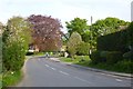 Cyclists on the Thornton Bridge Road