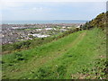 Path on Mynydd Dinas