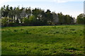 SU1511 : Field beside Lawrence Lane at North Gorley by David Martin