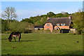 SU1611 : Cottage and pony, North Gorley by David Martin