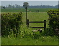 Path and stile near Low Marnham