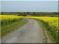 Road to the Kennels