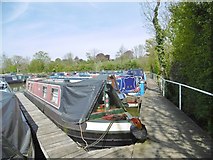 SP5465 : Braunston Marina by Mike Faherty