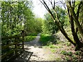 Footpath in Withnell