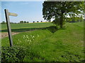 Footpath to Halstead