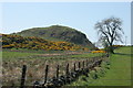 Looking towards Duncarnock