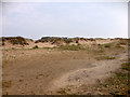 Sand Dunes at Crosby