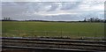 Farmland by the railway