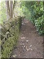 Footpath - Coronation Park - viewed from Pymroyd Lane