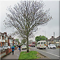 Perne Road traffic