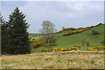 SD5684 : Warth Hill by Ian Taylor