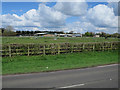 Horse paddocks by West Farm