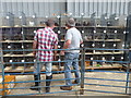 SU0797 : Viewing poultry and rabbits, Cirencester Livestock Market, Cotswold Agricultural Centre by Vieve Forward