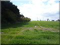 Crop field and woodland