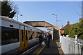 TR1055 : Canterbury Train at Chartham by N Chadwick