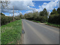 Road through Letton Green