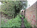 Footpath in Humberston