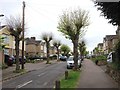 Newlands Avenue, Sittingbourne