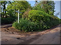 Lane junction at Queensborough Farm