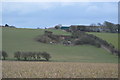 An old chalk quarry, Bullock Down