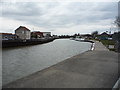 The River Bure