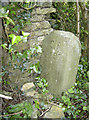 Stoke Park boundary stone