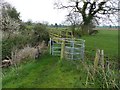 Kissing gate and footbridge on permitted path