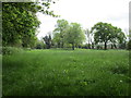 Field by the Rookery, Orston