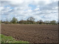 Field near Furze Hill