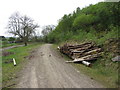 Timber stack near Abercynon